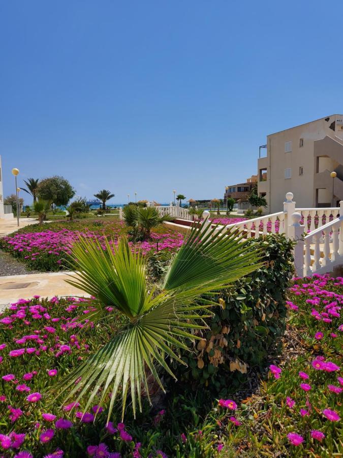 Casa Baja Naturista Con Patio En Primera Linea De Playa Con Piscina Comunitaria! Vera Bagian luar foto