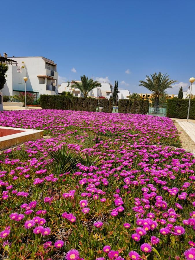 Casa Baja Naturista Con Patio En Primera Linea De Playa Con Piscina Comunitaria! Vera Bagian luar foto